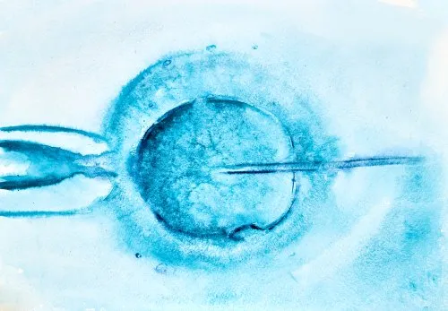 Embryo under microscope