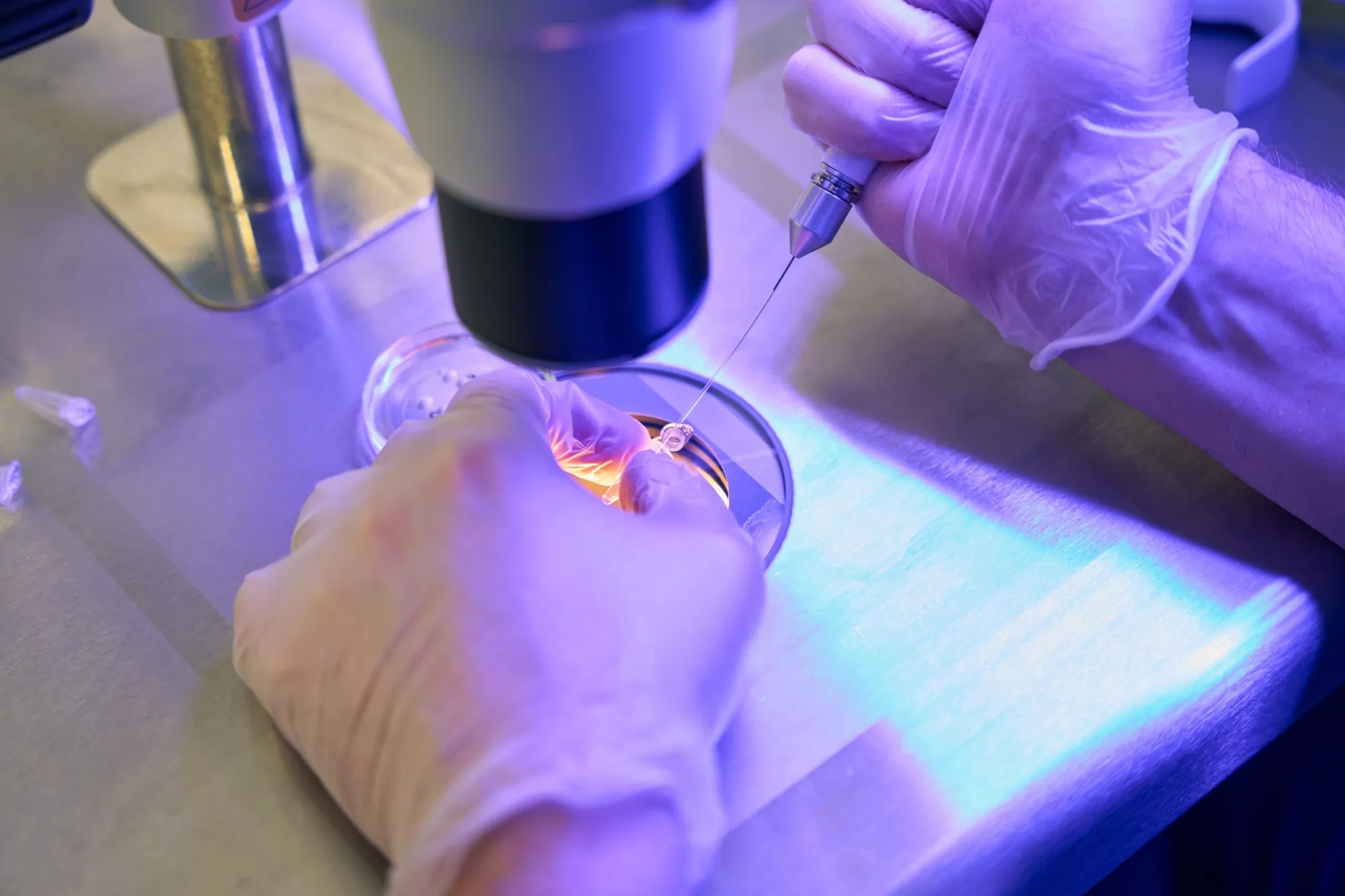 Embryologist working at a microscope